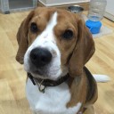 สมาชิกหมายเลข 2753595