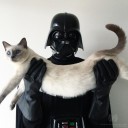 สมาชิกหมายเลข 2866660