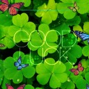 สมาชิกหมายเลข 3306055