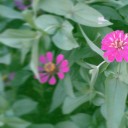 สมาชิกหมายเลข 3306642