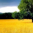 สมาชิกหมายเลข 792323