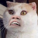 สมาชิกหมายเลข 1233959