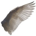 สมาชิกหมายเลข 1655949