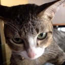 สมาชิกหมายเลข 1656358