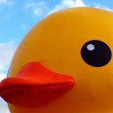 สมาชิกหมายเลข 1234014