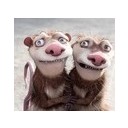 สมาชิกหมายเลข 1139731