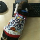 สมาชิกหมายเลข 1651939