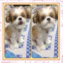 สมาชิกหมายเลข 1656693