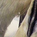 สมาชิกหมายเลข 1855674