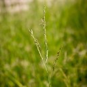 สมาชิกหมายเลข 2871018