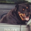 สมาชิกหมายเลข 3307587