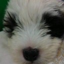 สมาชิกหมายเลข 837979