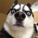 สมาชิกหมายเลข 1055354