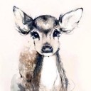 สมาชิกหมายเลข 3307944