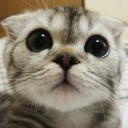 สมาชิกหมายเลข 1859696