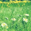 สมาชิกหมายเลข 2872000