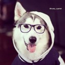 สมาชิกหมายเลข 1076260