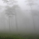 หมอกแห่งความว่างเปล่า