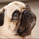 เด็กแว่นตัวอ้วน