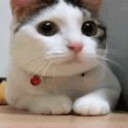 คิมฮยอนแอ