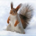 สมาชิกหมายเลข 839681