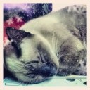 สมาชิกหมายเลข 931022