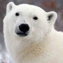 สมาชิกหมายเลข 1658831