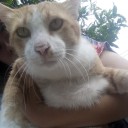 สมาชิกหมายเลข 2471151