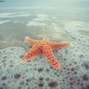 สมาชิกหมายเลข 835822