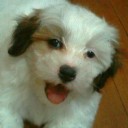 สมาชิกหมายเลข 1025454