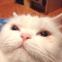 สมาชิกหมายเลข 1220555