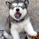 สมาชิกหมายเลข 1233607