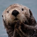 น้องนาก