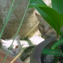 สมาชิกหมายเลข 2053937