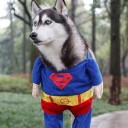 สมาชิกหมายเลข 2873307