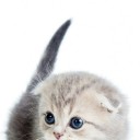 สมาชิกหมายเลข 3306935