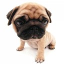 ทำไมจัง