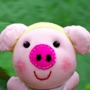 ขายยอดดอย คอยรับหมู