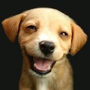 สมาชิกหมายเลข 840639