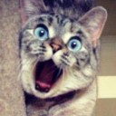 สมาชิกหมายเลข 1237208