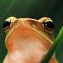 สมาชิกหมายเลข 1130859