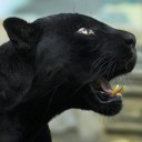 สมาชิกหมายเลข 2407320