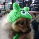 สมาชิกหมายเลข 723131