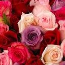 สมาชิกหมายเลข 720961