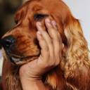 สมาชิกหมายเลข 919864