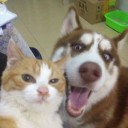 สมาชิกหมายเลข 1409359