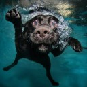 สมาชิกหมายเลข 1926878