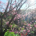 สมาชิกหมายเลข 718595