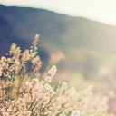 สมาชิกหมายเลข 840496