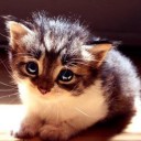 สมาชิกหมายเลข 970713